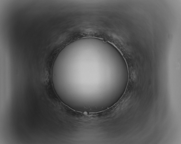 X0000102311253200808011416