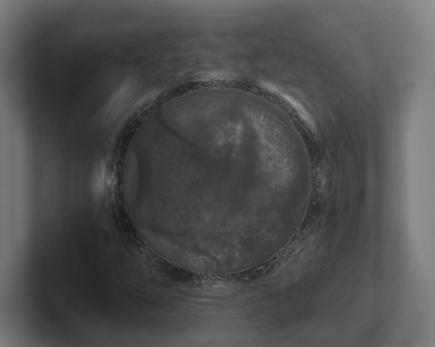 X0000102311254200808011416