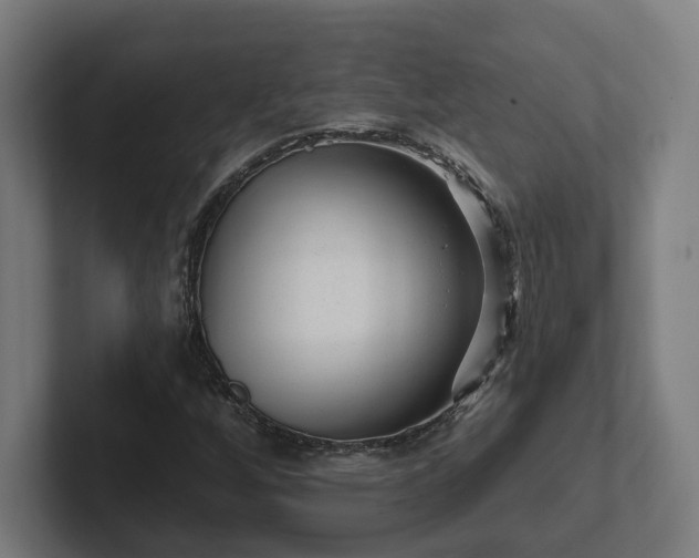 X0000102311256200808011416