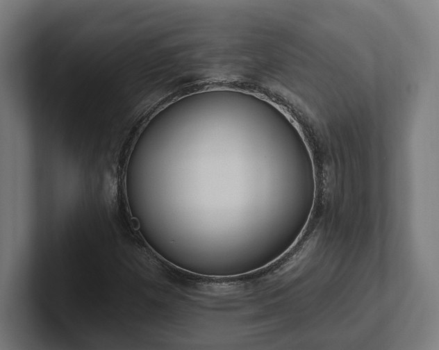 X0000102311257200808011416