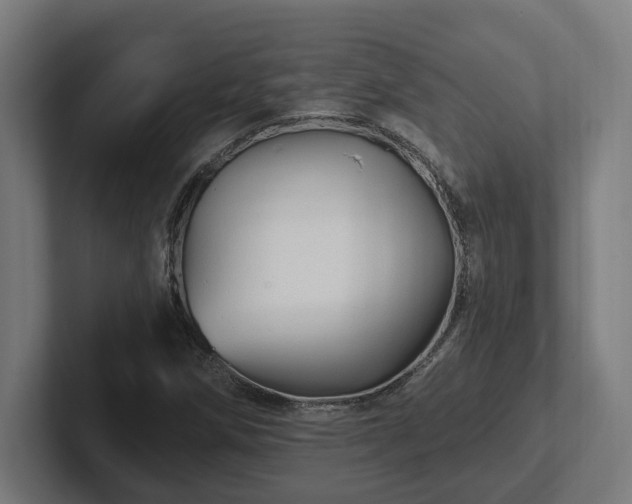 X0000102311258200808011416