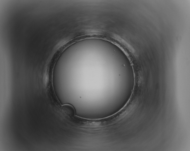 X0000102311261200808011416