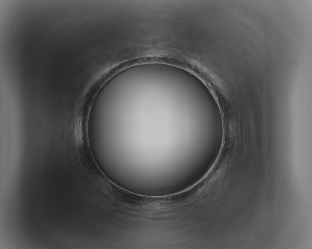 X0000102311262200808011416