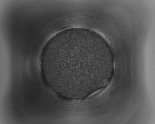 X0000102311263200808011415