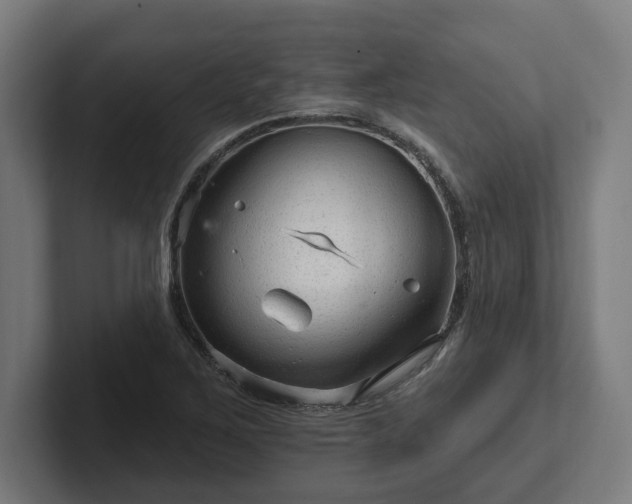 X0000102311267200808011415