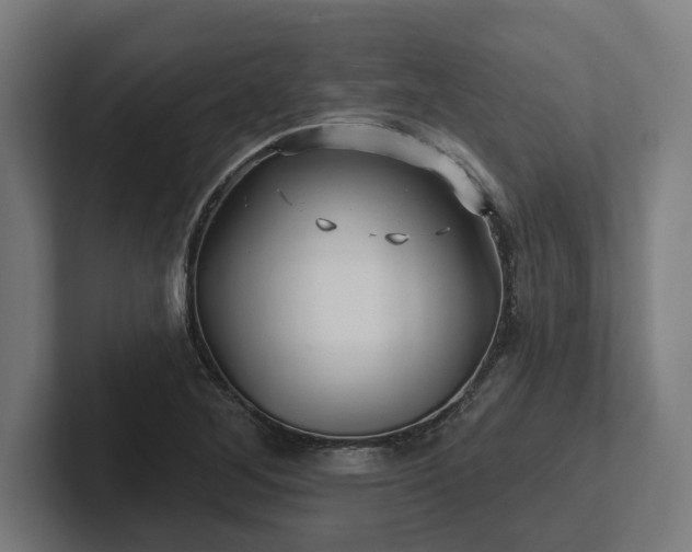 X0000102311268200808011415