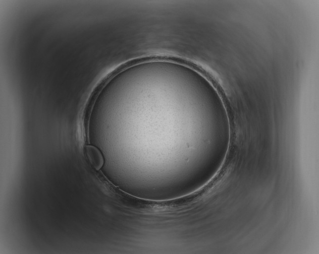 X0000102311271200808011415