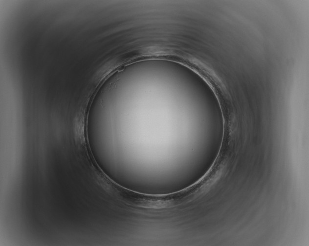 X0000102311273200808011415