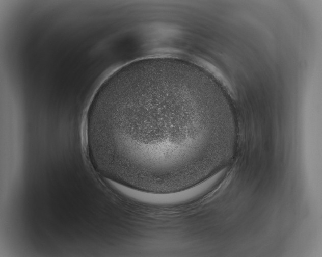 X0000102311275200808011415