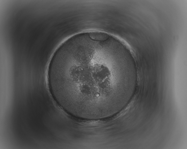 X0000102311279200808011415