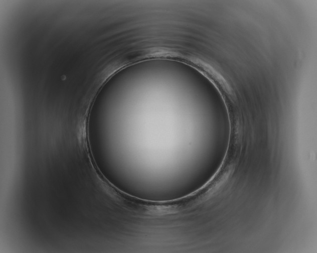 X0000102311281200808011415