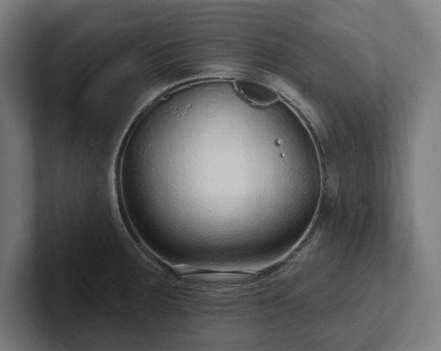 X0000102311283200808011415