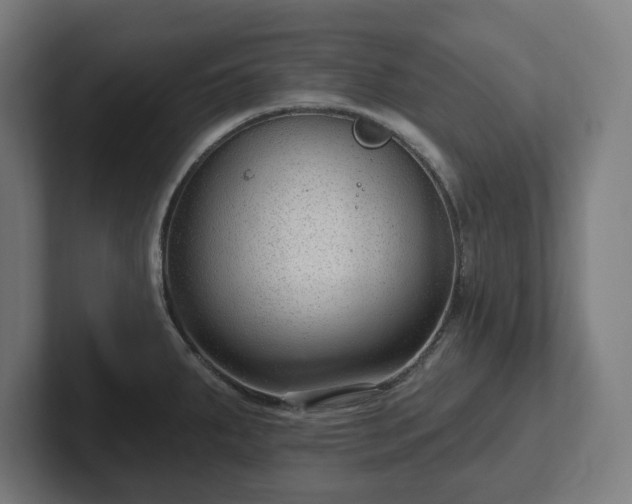 X0000102311287200808011415