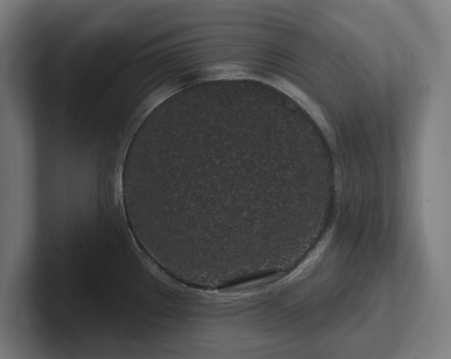 X0000102311289200808011415