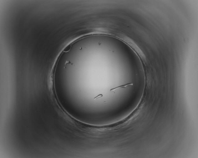 X0000102311292200808011415