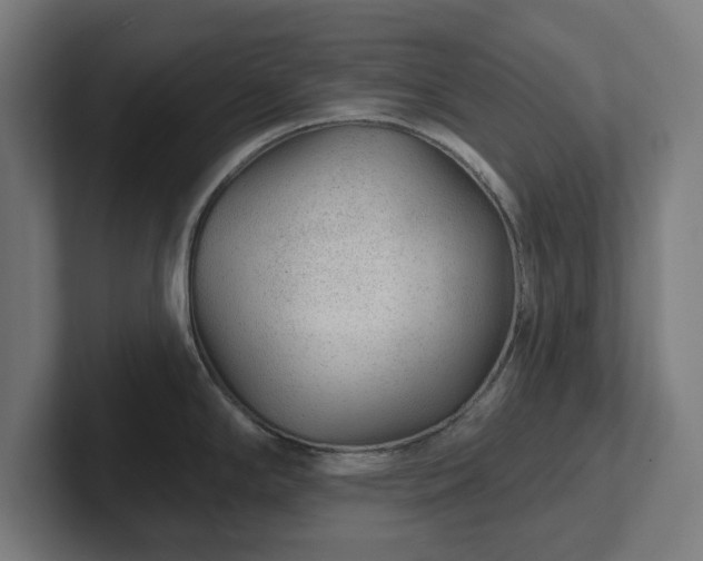 X0000102311294200808011415