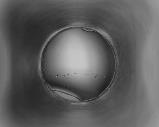 X0000102311296200808011415