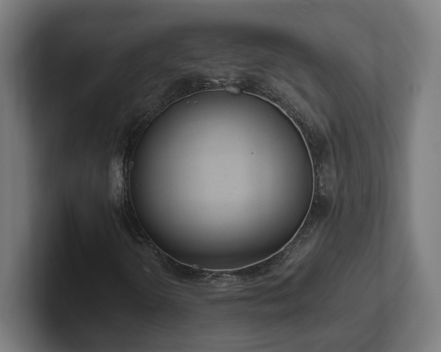 X0000102311298200808011414