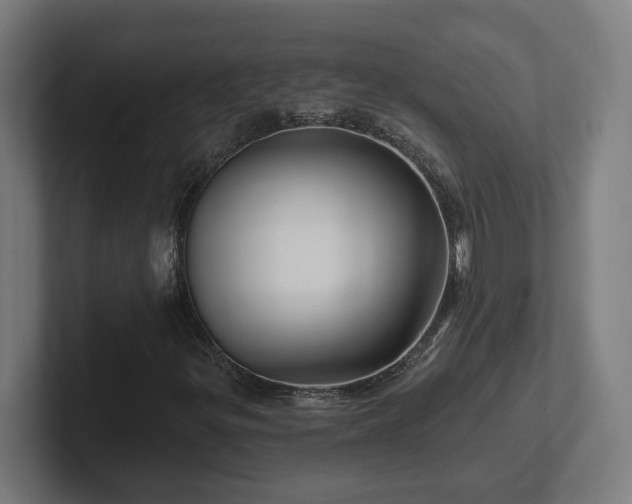 X0000102311299200808011414