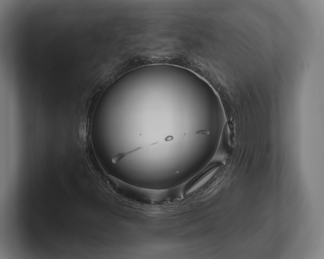 X0000102311300200808011414