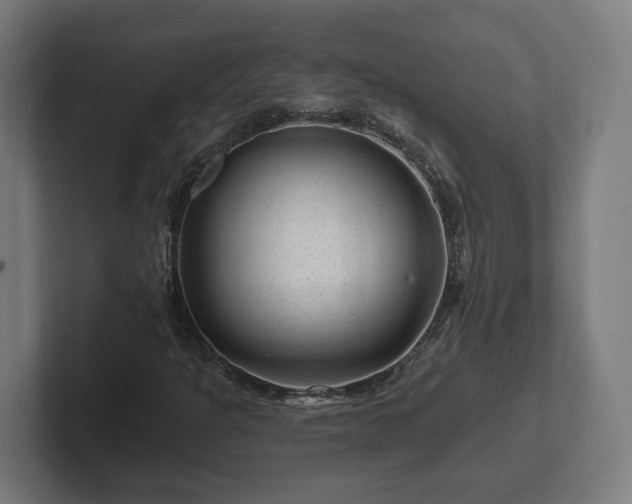 X0000102311301200808011414