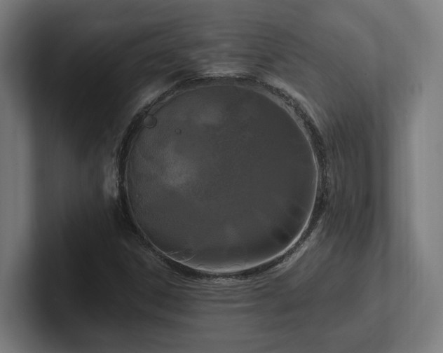 X0000102311306200808011415