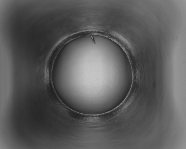 X0000102311310200808011415