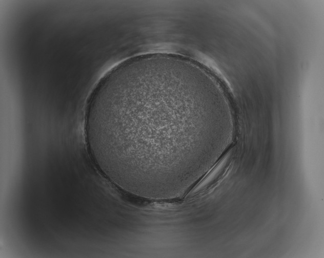 X0000102311312200808011415