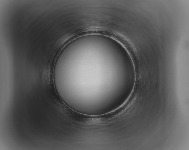 X0000102311313200808011415