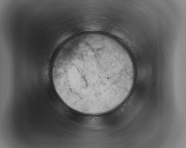 X0000102311314200808011415