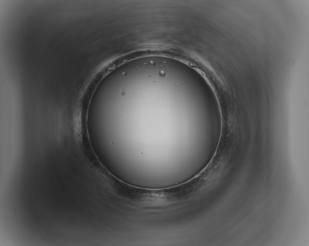 X0000102311315200808011415