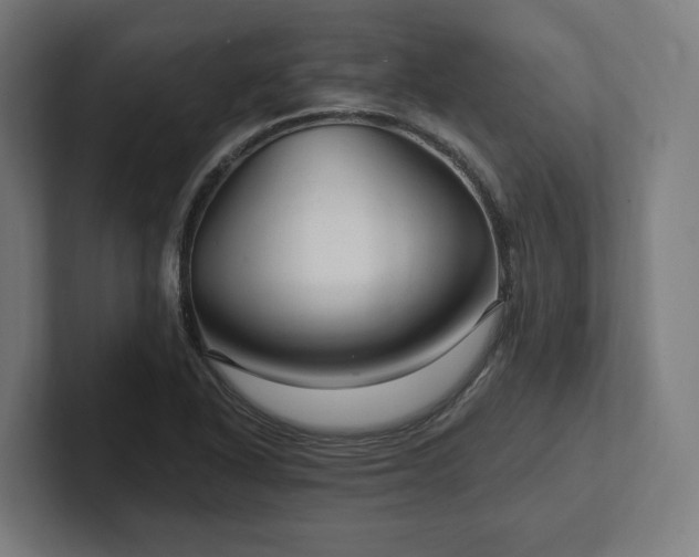 X0000102311318200808011415