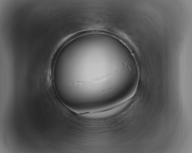 X0000102311320200808011415