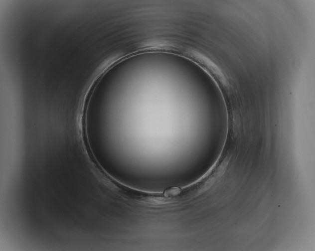 X0000102311330200808011415