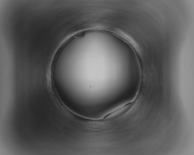 X0000102311332200808011415