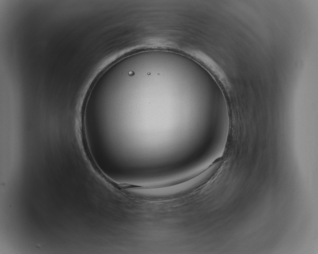 X0000102311335200808011415