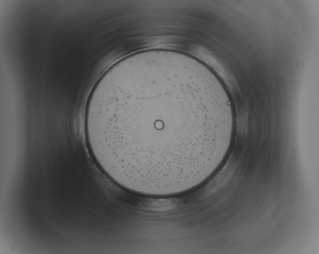 X0000102311338200808011415