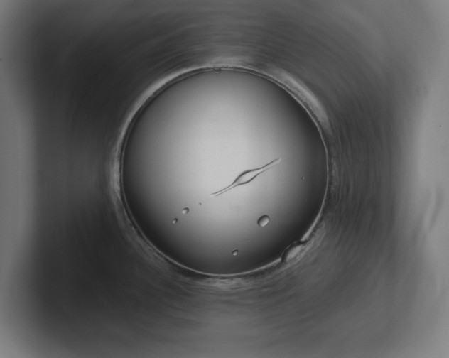 X0000102311340200808011415