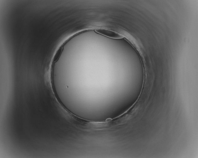 X0000102311344200808011415