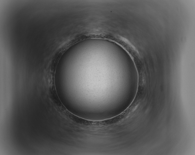 X0000102311350200808011414