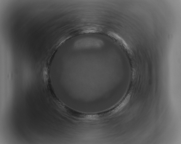 X0000102311353200808011414