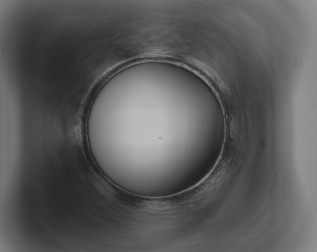 X0000102311356200808011414