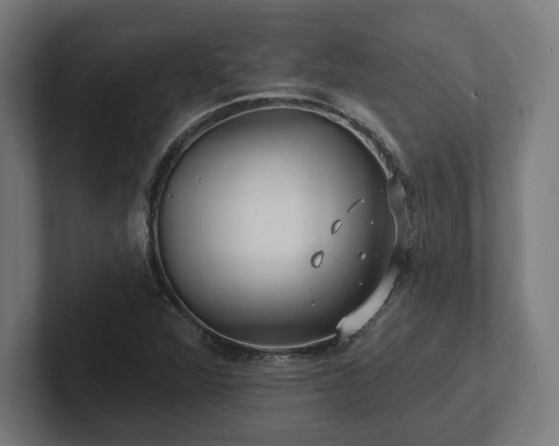 X0000102311360200808011414