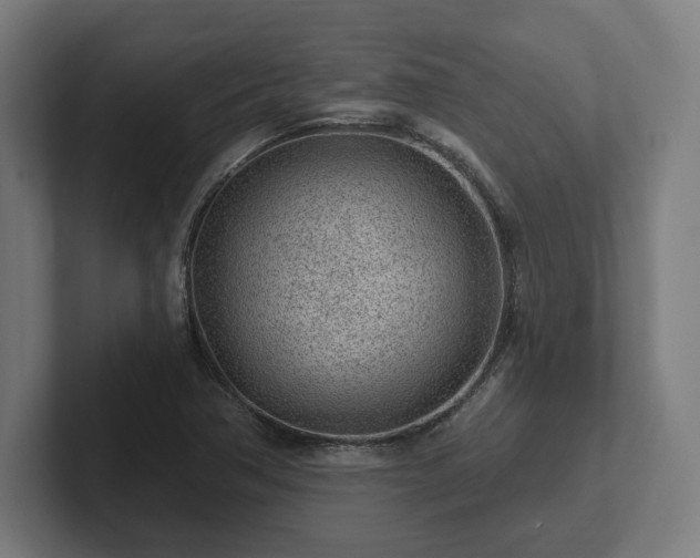 X0000102311362200808011414