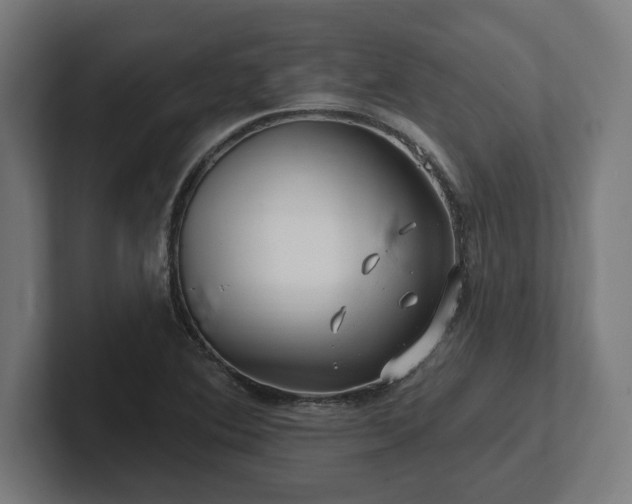 X0000102311364200808011414