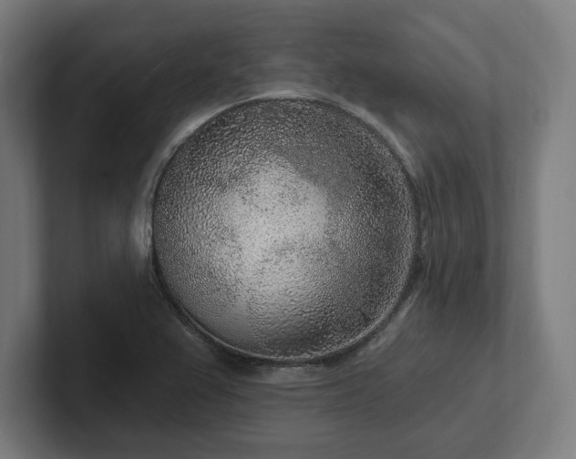 X0000102311367200808011414