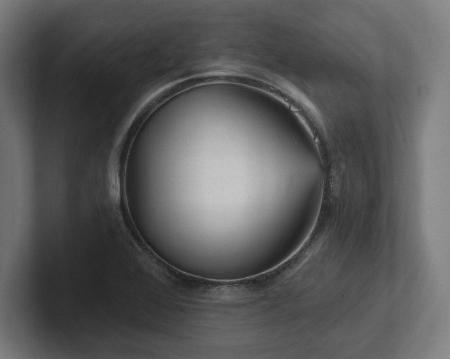 X0000102311368200808011414