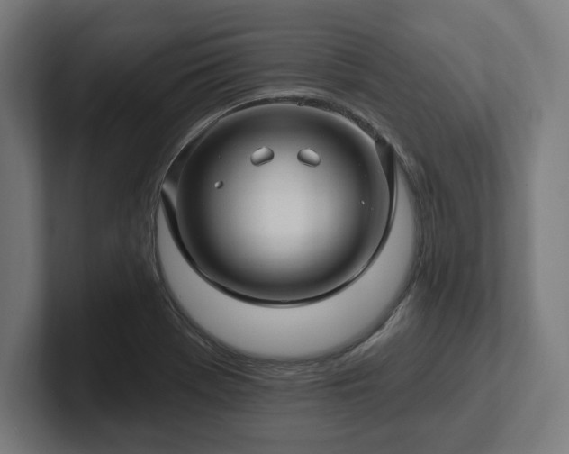 X0000102311369200808011414