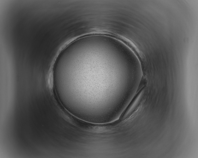 X0000102311371200808011414