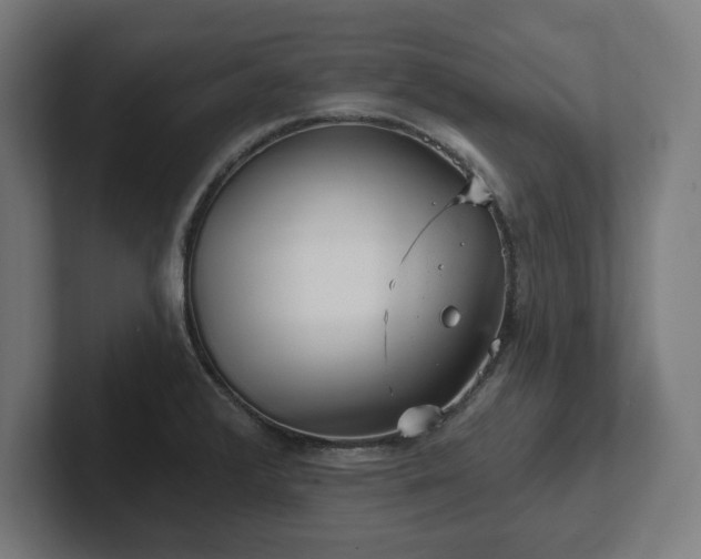 X0000102311376200808011414